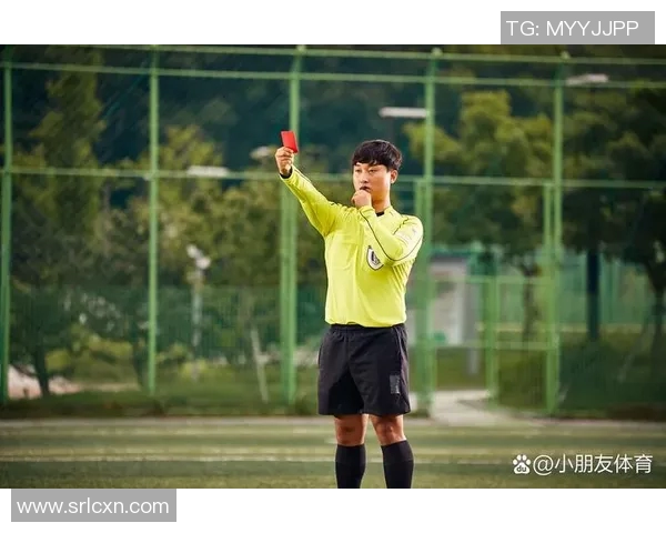 里尔与亚眠比赛暂停引发热议球迷对裁判判罚表示不满